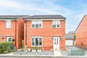 Photo 27- click for photo gallery